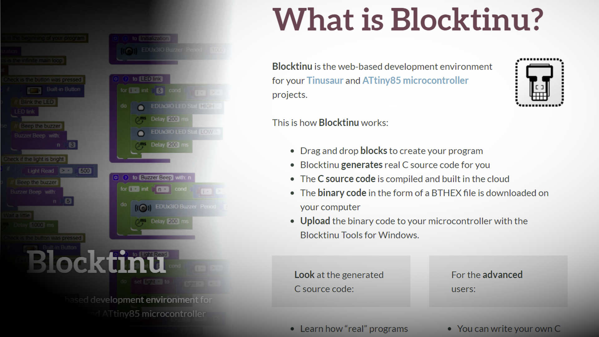Blocktinu New Website